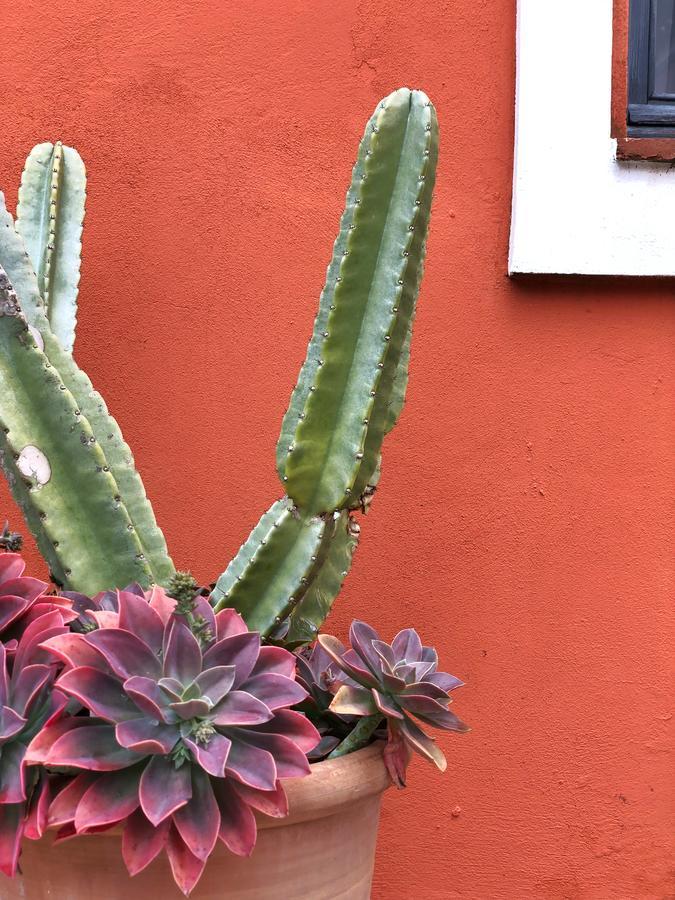 Gasthaus Cortijo El Pozuelo Tarifa Exterior foto